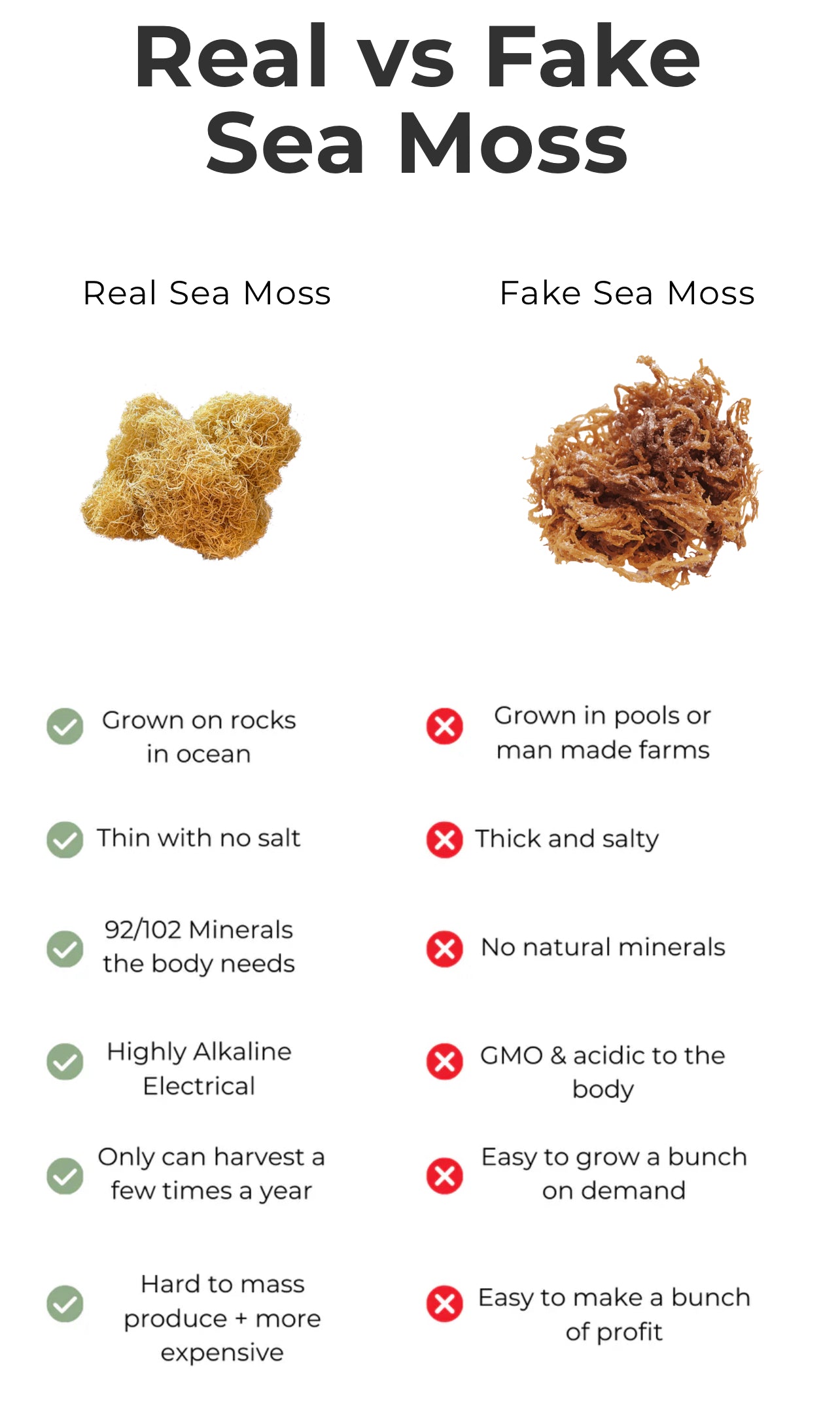 Raw Wildcrafted Organic Seamoss (2oz)