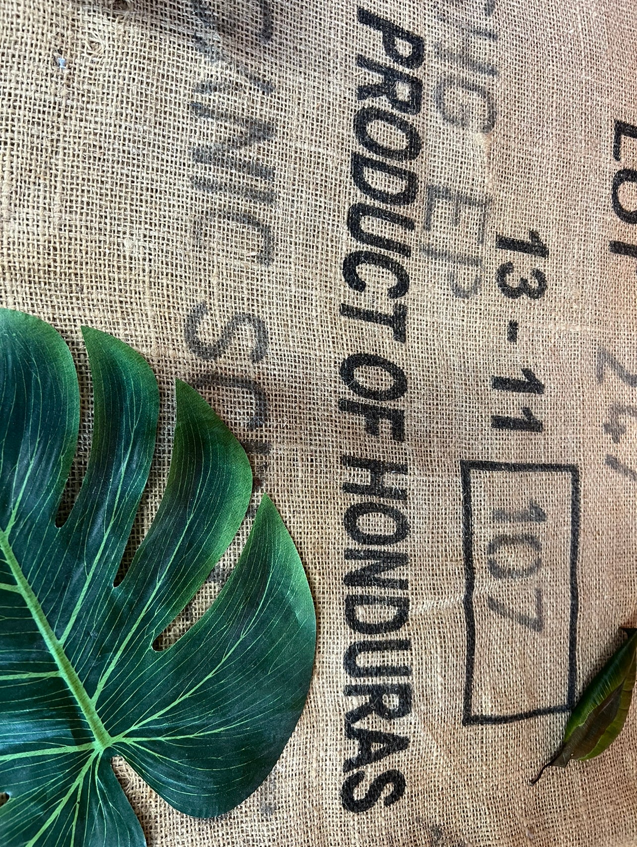 Rare Wildcrafted Honduran Batana Oil (4.5oz)