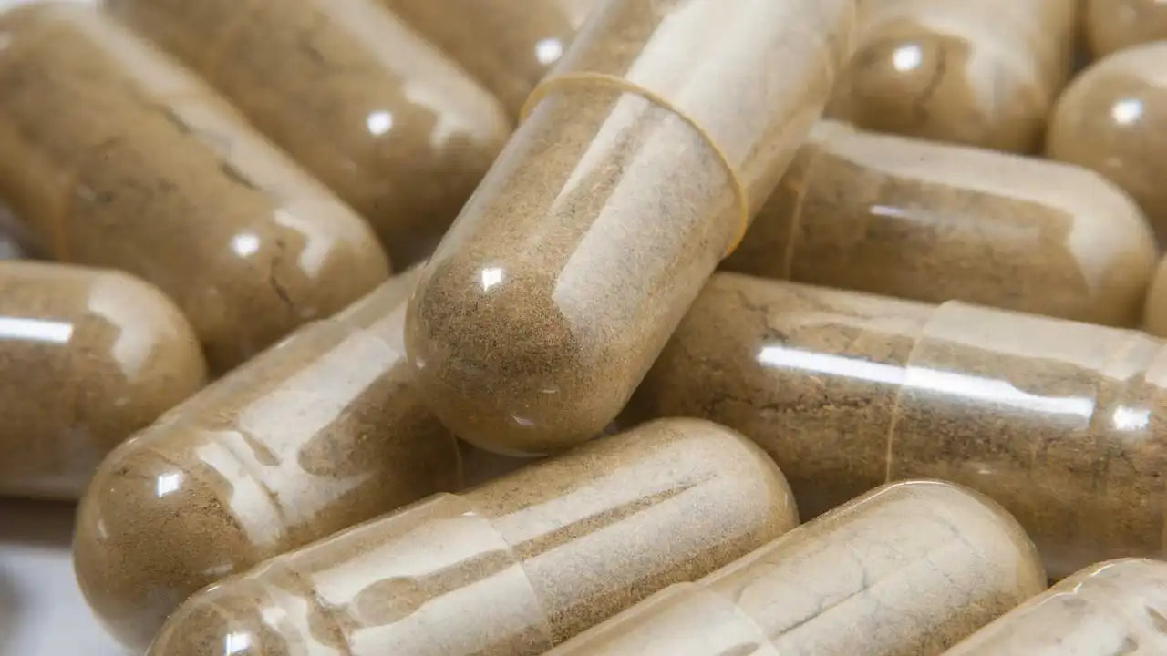 Cats Claw Capsules (100ct)