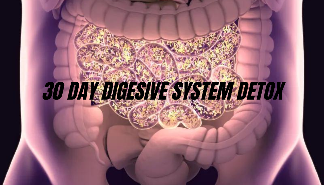 30 DAY DIGESTIVE SYSTEM DETOX (Gut Detox)