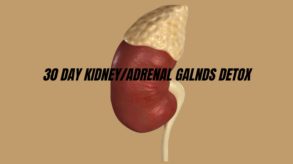 30 DAY KIDNEY/ ADRENAL GLANDS DETOX (STONE BUSTER)