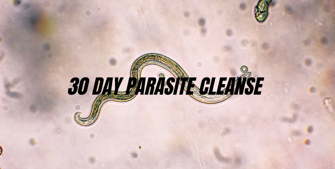 30 DAY PARASITE CLEANSE (WORM DESTROYER)