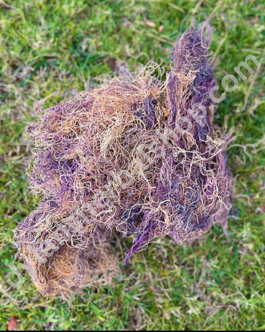 Raw Wildcrafted Organic Seamoss (2oz)